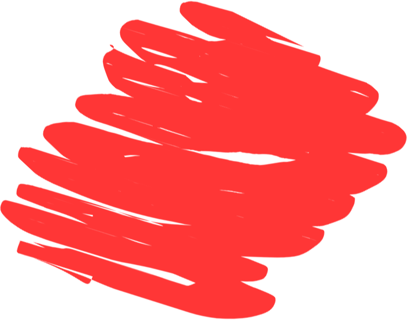 Nous Faisons Ce Que Nous Pouvons (NSK)